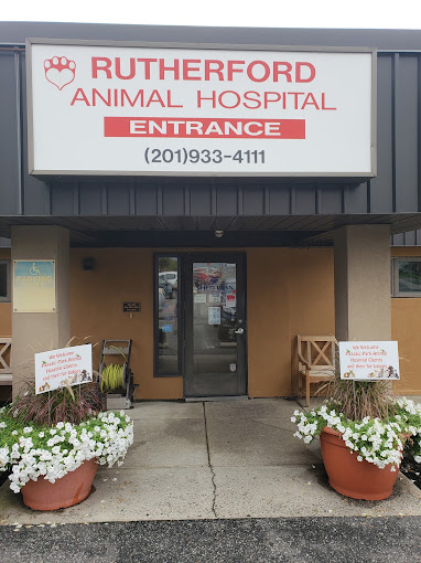 Front of the VCA Rutherford Animal Hospital