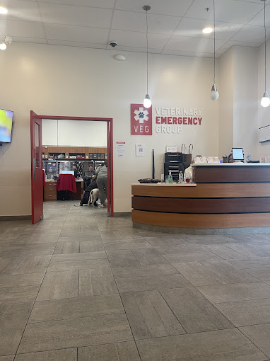 Look inside of the Veterinary Emergency Group