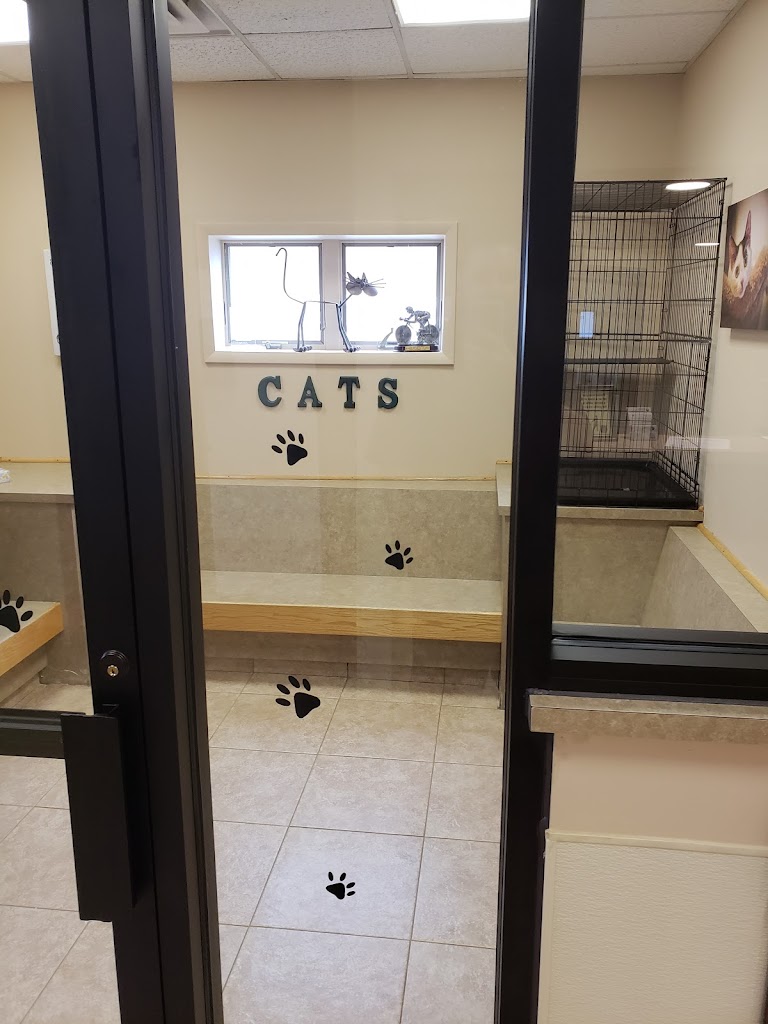 Separated area for you cat in the VCA Rutherford Animal Hospital